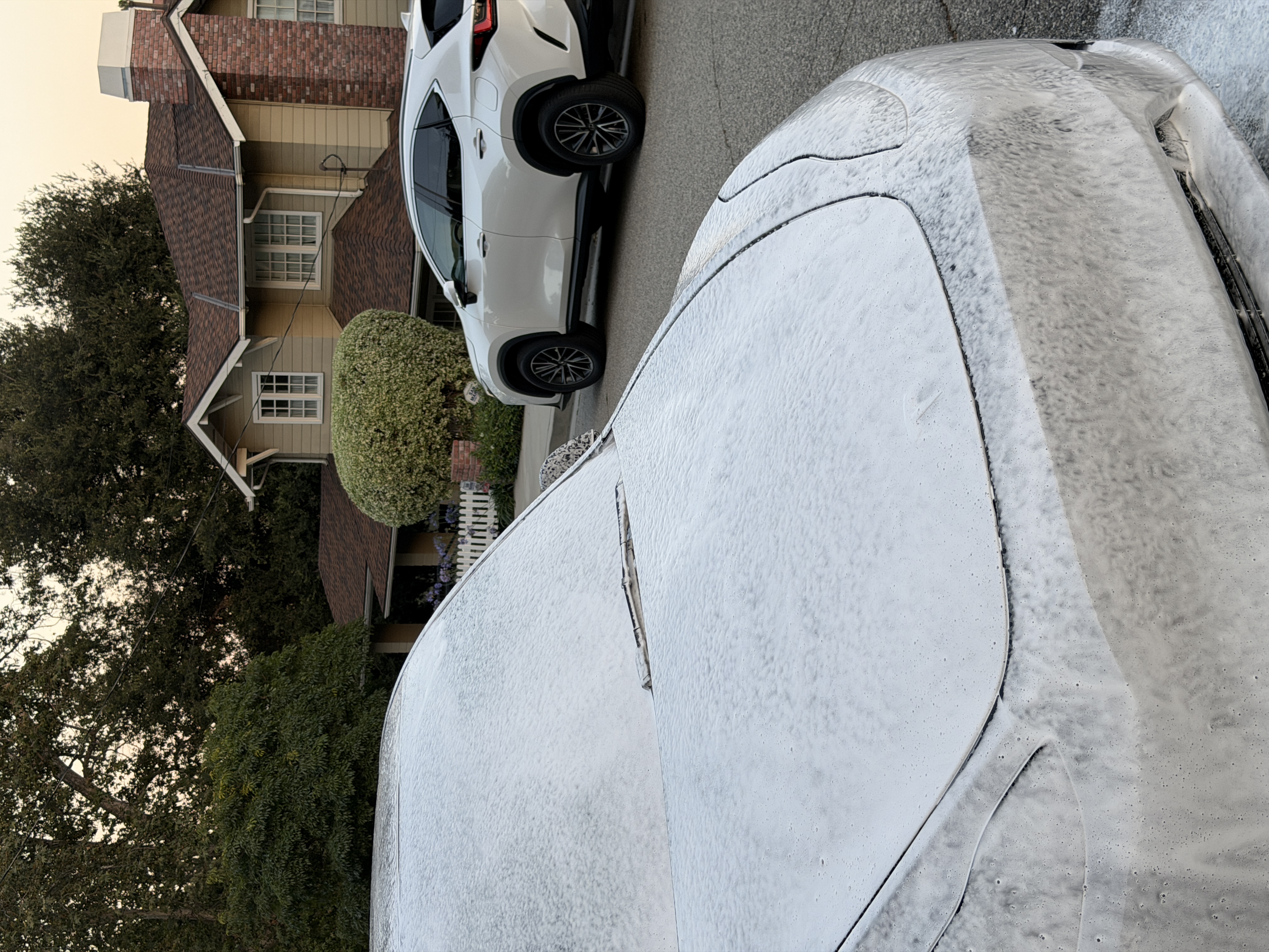 Tesla Model Y Exterior Detail